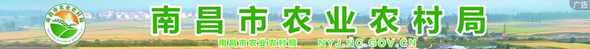 南昌市農業農村局